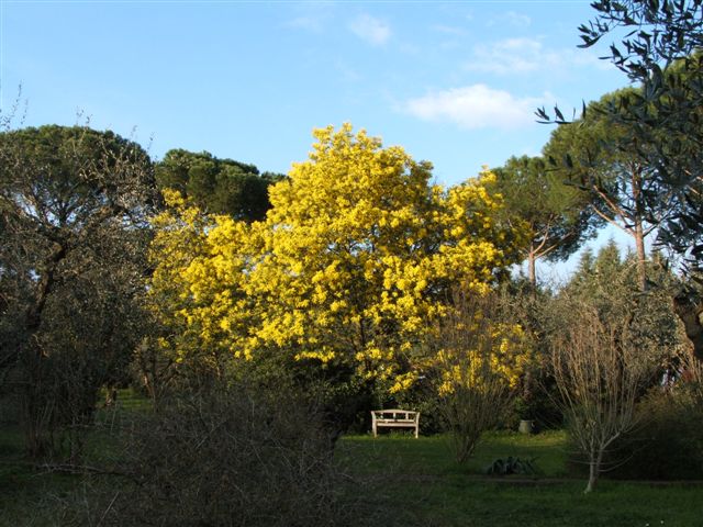  Giardino Liuzzo 1